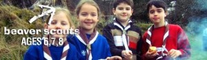 Beaver Scouts