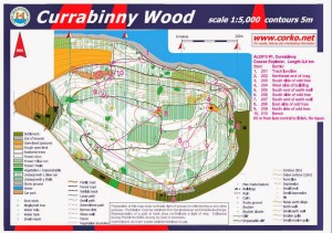 Currabinny Woods